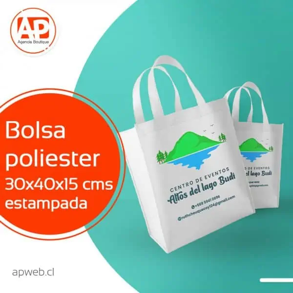 30 Bolsas Poliester 30x40x15 cms